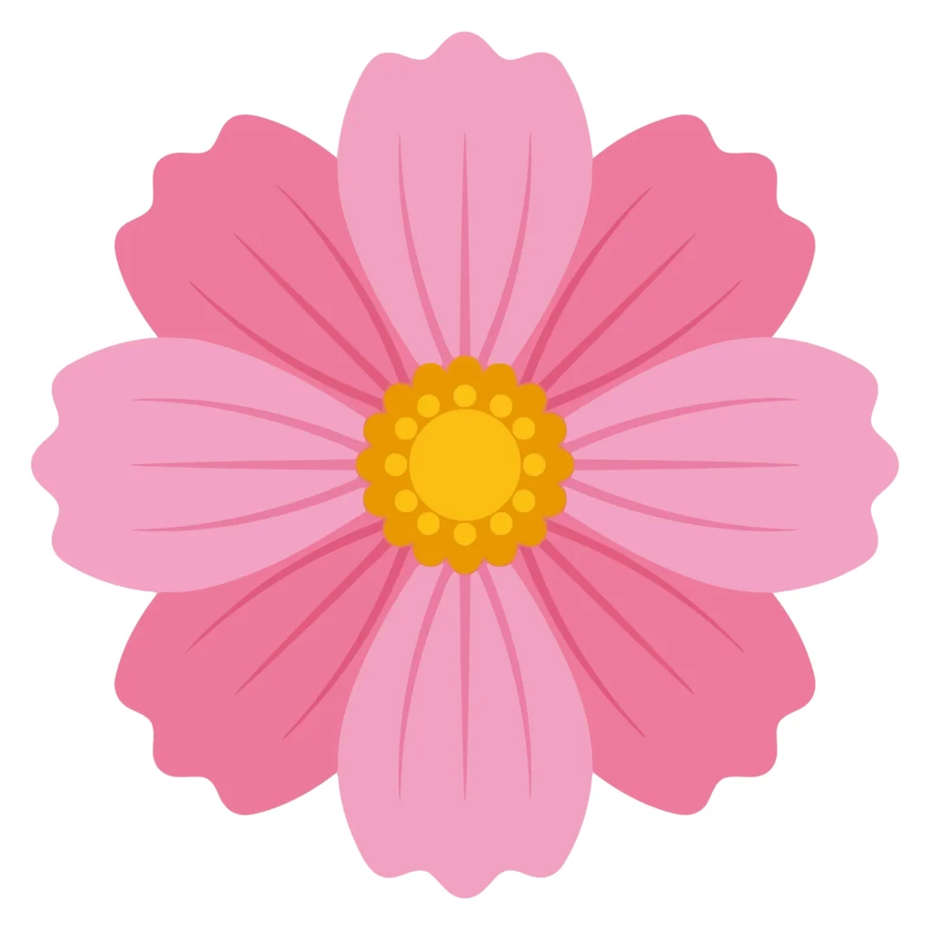 pink cosmos flower