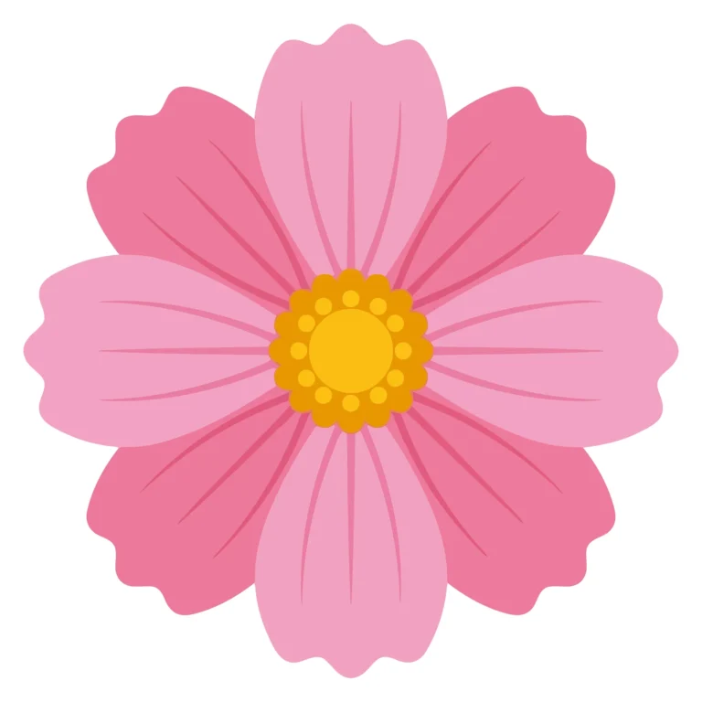 pink cosmos flower