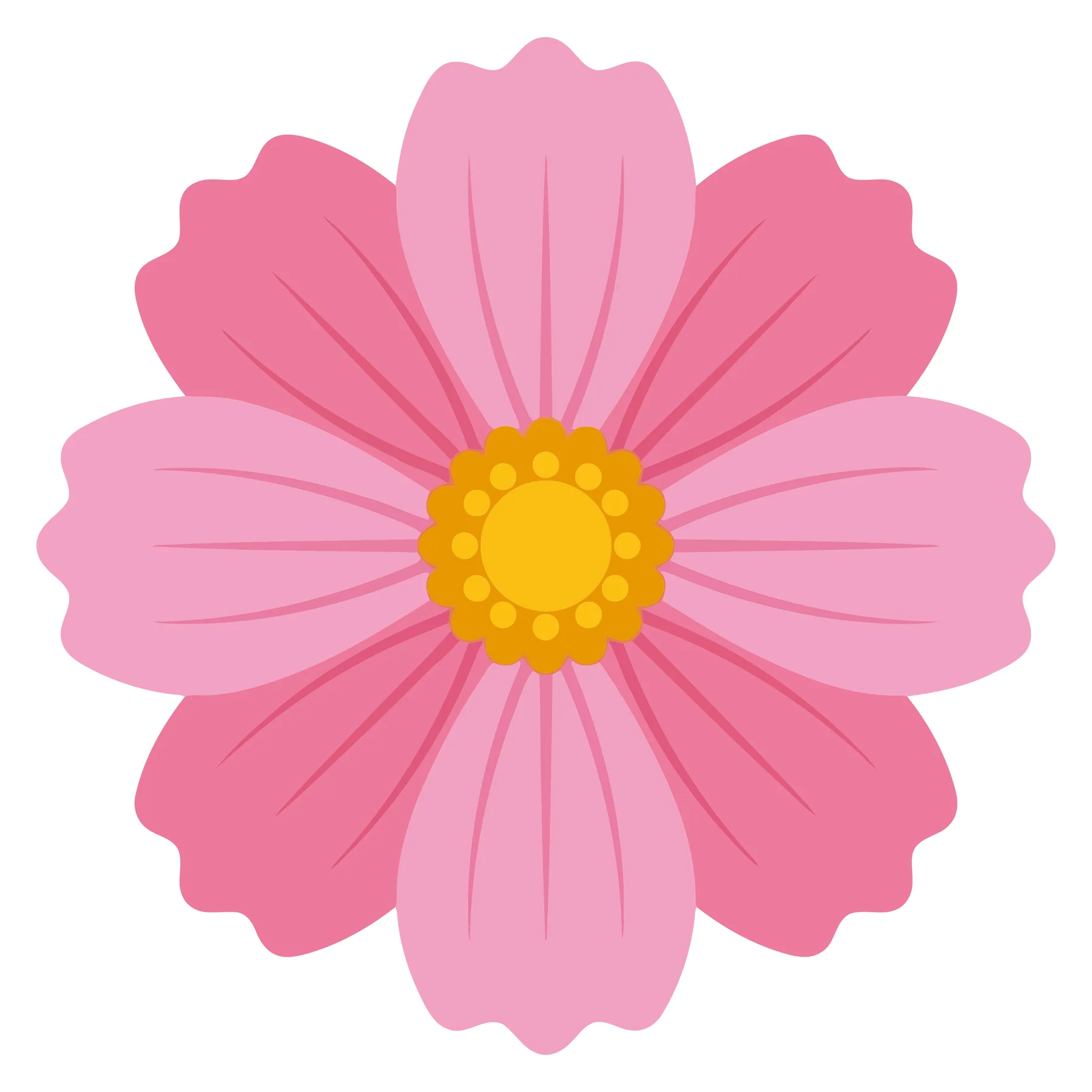 Pink Cosmos Flower Vector Illustration