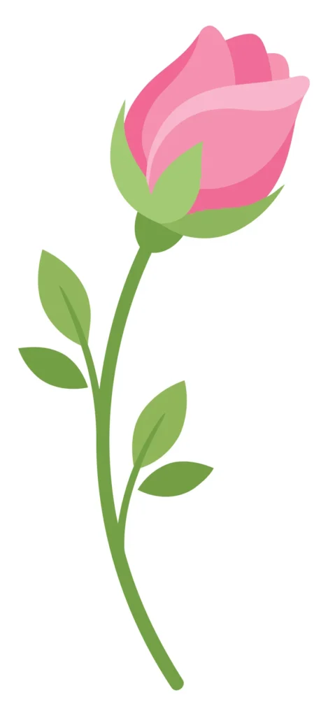 pink rose bud with green leaves