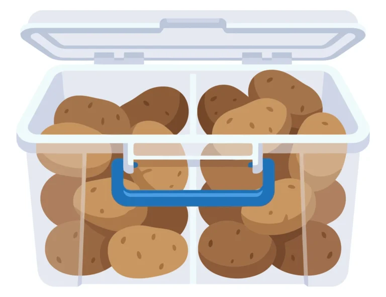 plastic container with potatoes