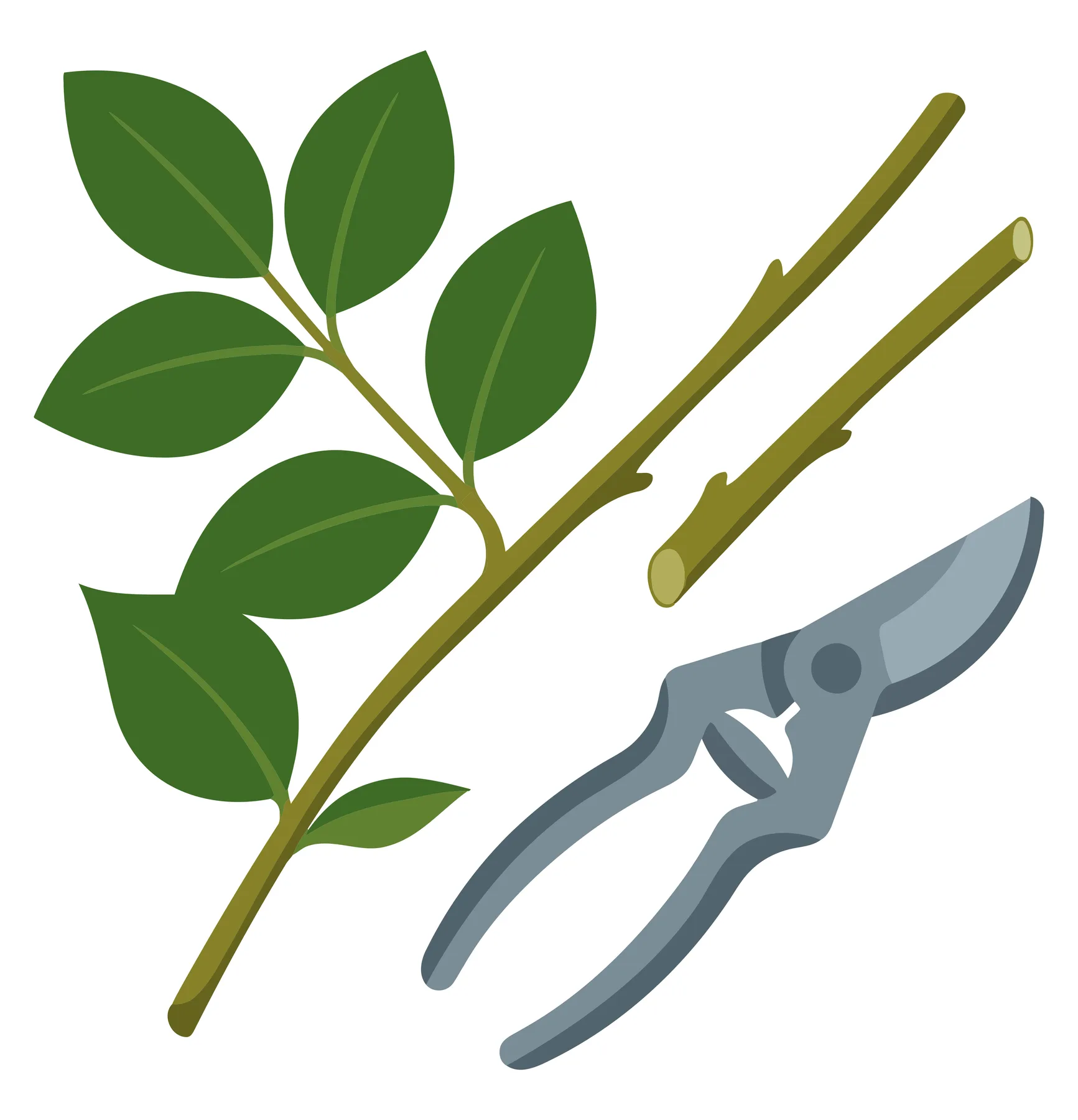 pruning shears cutting green plant stem with leaves