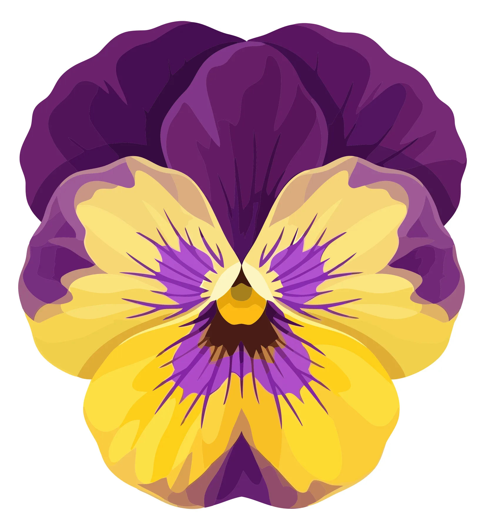Colorful Pansy Flower Vector Illustration