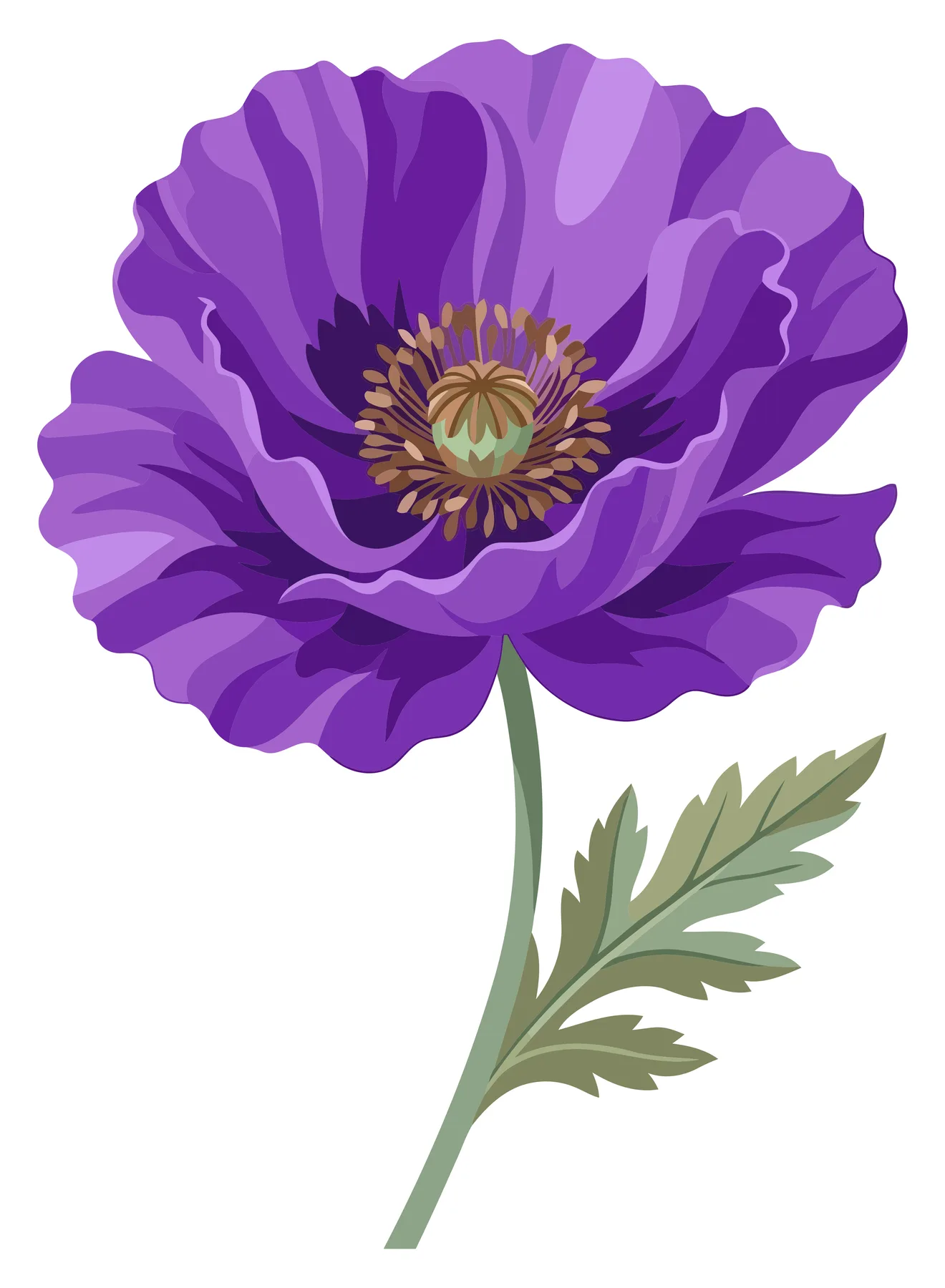 Purple Poppy Flower with Green Stem and Leaves Illustration