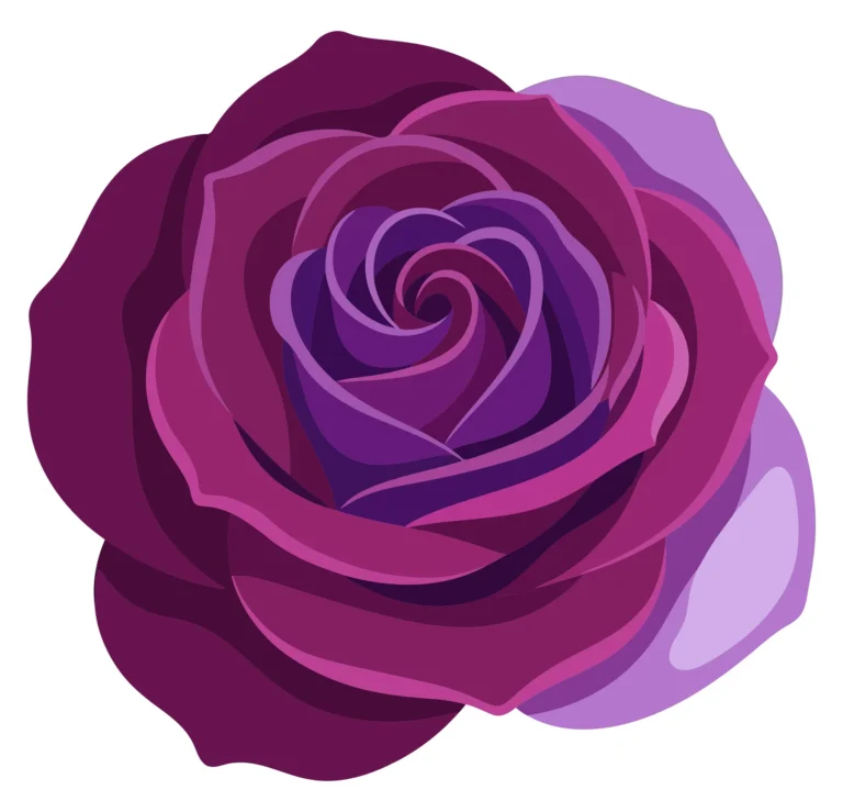 purple rose flower head