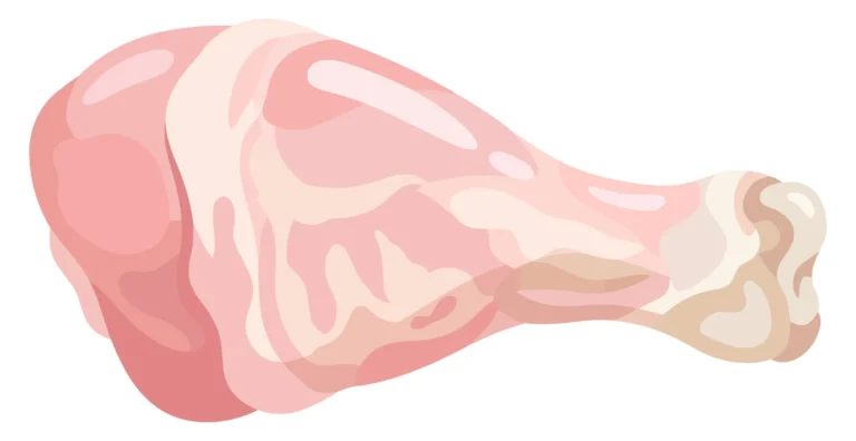 raw chicken drumstick