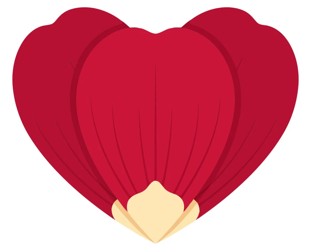red flower petal