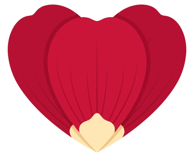red flower petal