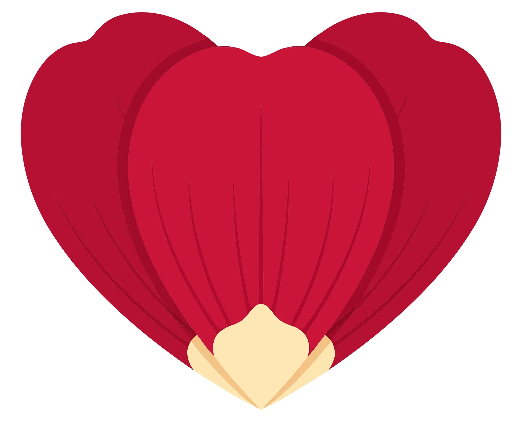 Red Flower Petal Vector Illustration