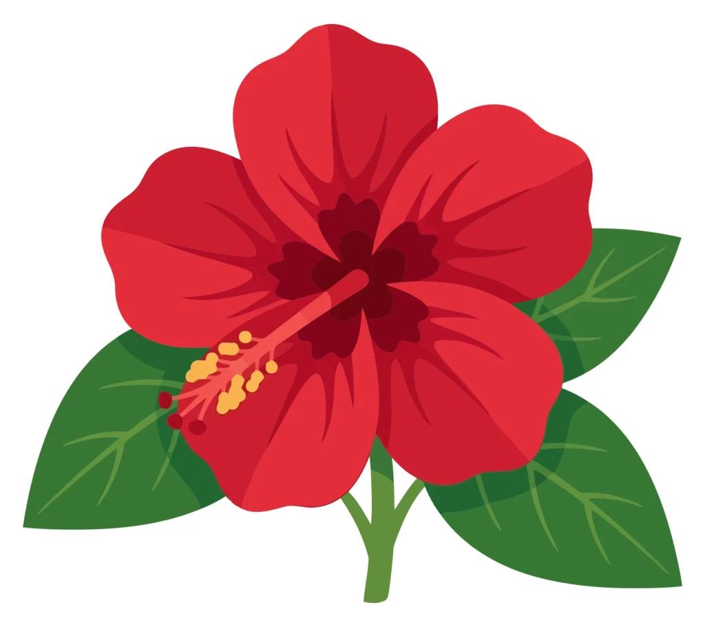 red hibiscus flower with green leaves vector illustration isolated on white background