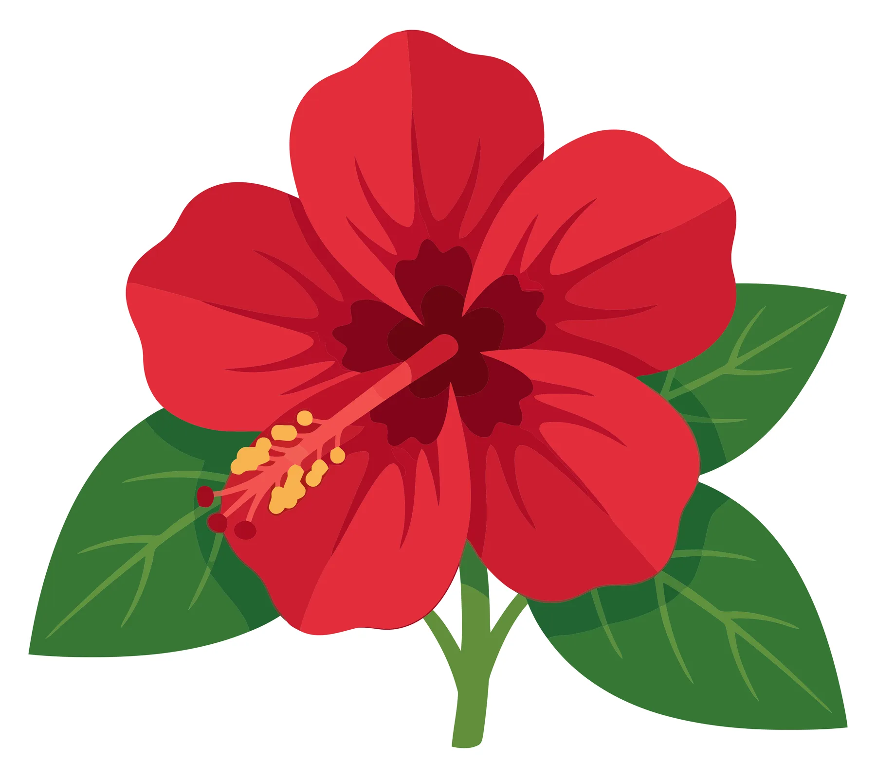 red hibiscus flower with green leaves vector illustration isolated on white background