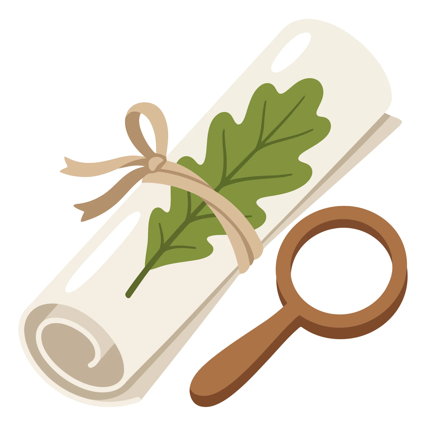 rolled parchment scroll tied with a ribbon and decorated with a green oak leaf next to a wooden magnifying glass, vector illustration