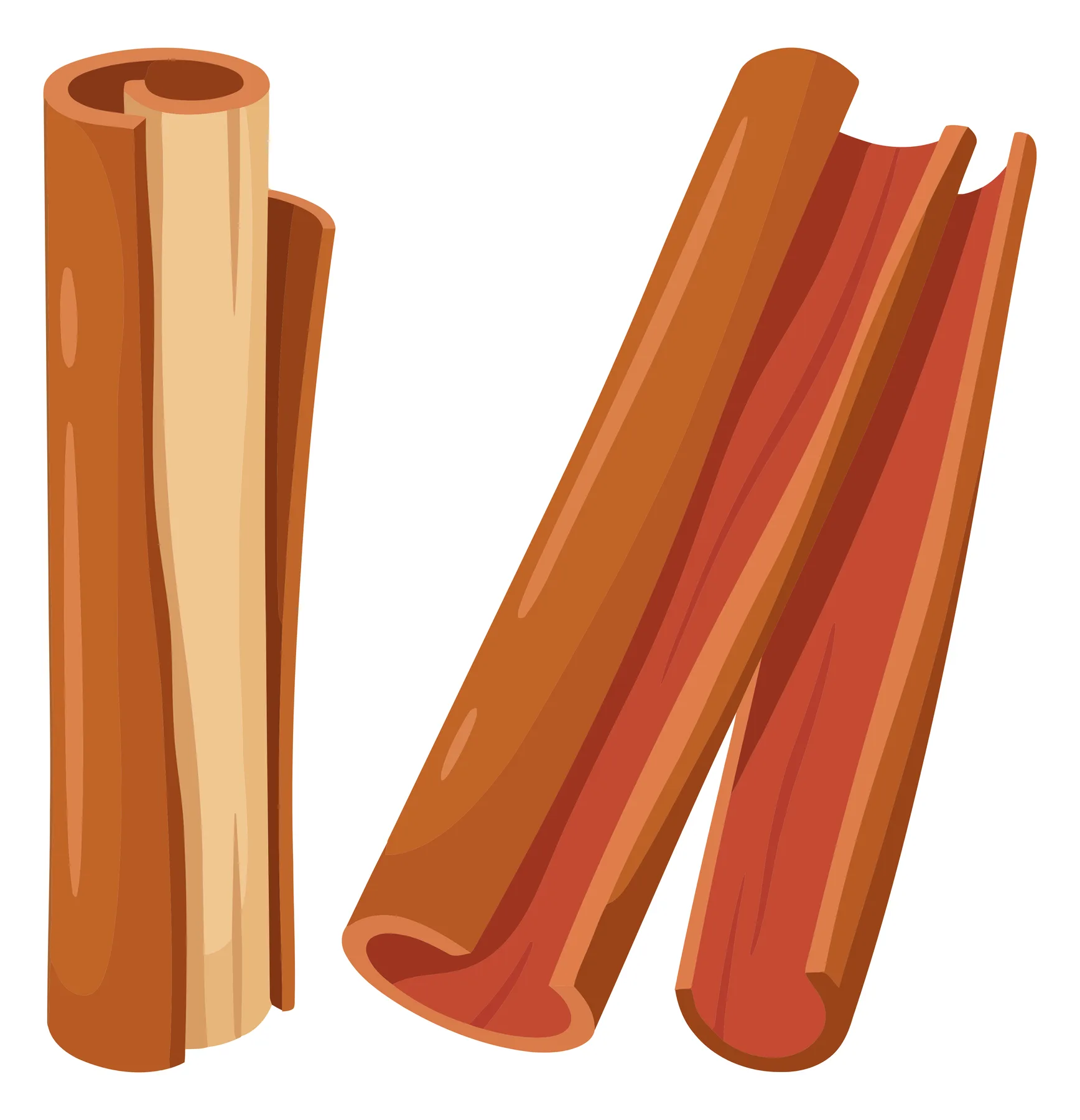 set of cinnamon sticks isolated on white background