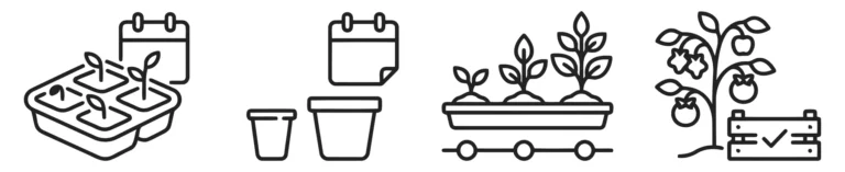 set of gardening and plant growth stage icons with calendar and harvest symbols