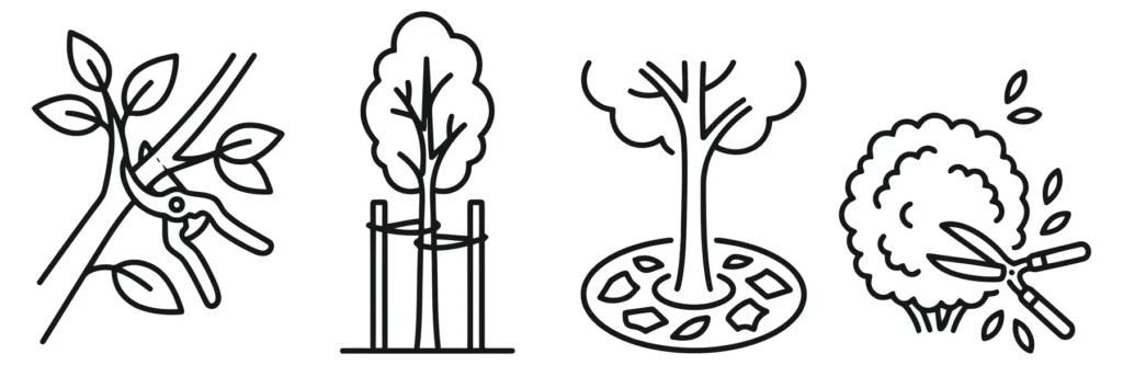 set of gardening and tree care icons featuring pruning, planting, and maintenance