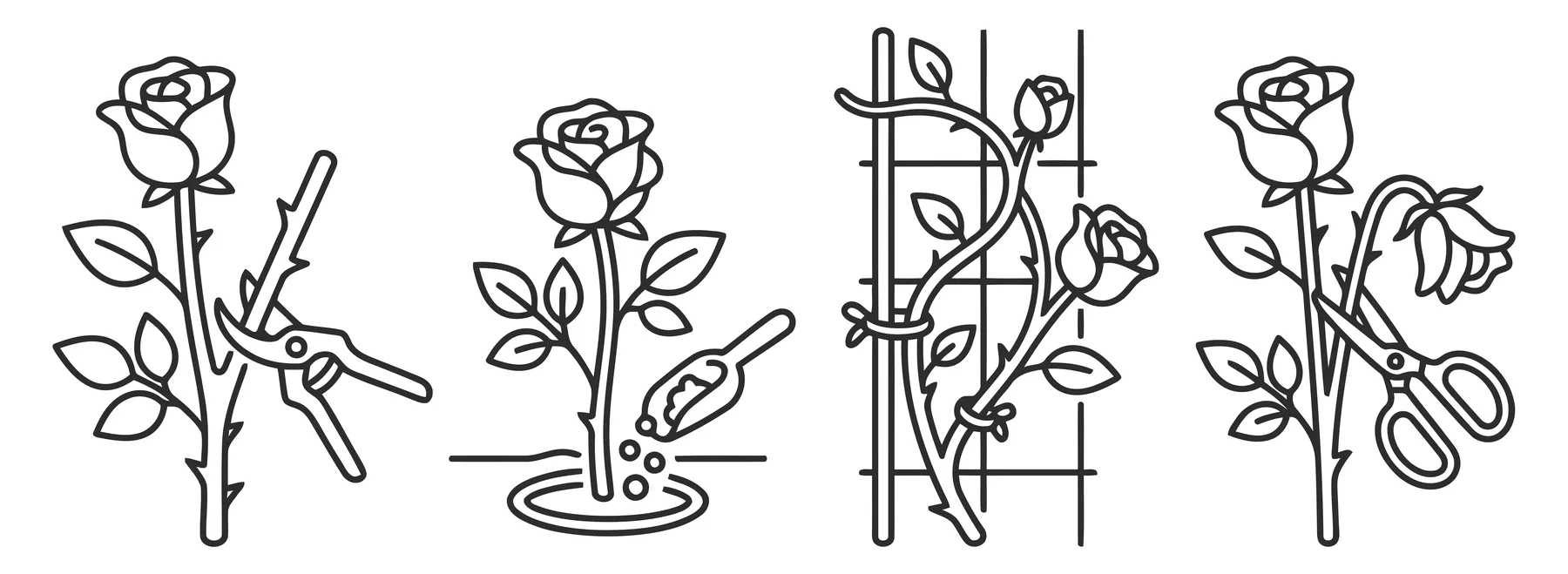 Gardening Icons for Rose Care and Maintenance