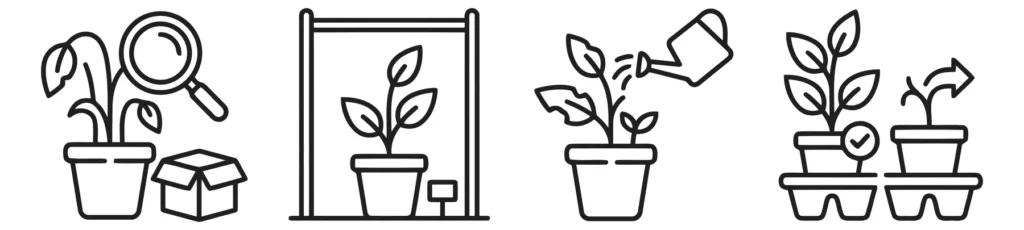 set of greenhouse plant care and nursery icons, including plant inspection, watering, and shipping, linear style