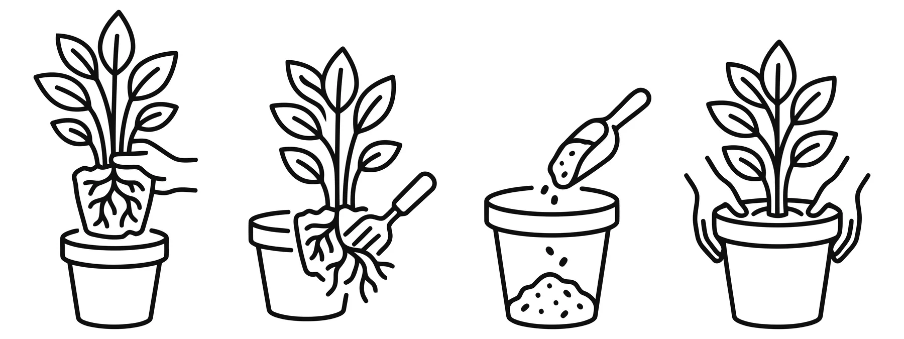 Line art icons of potted plant care and shipping steps