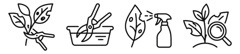 set of plant health and pest control icons, including pruning, cleaning tools, and disease inspection, linear style