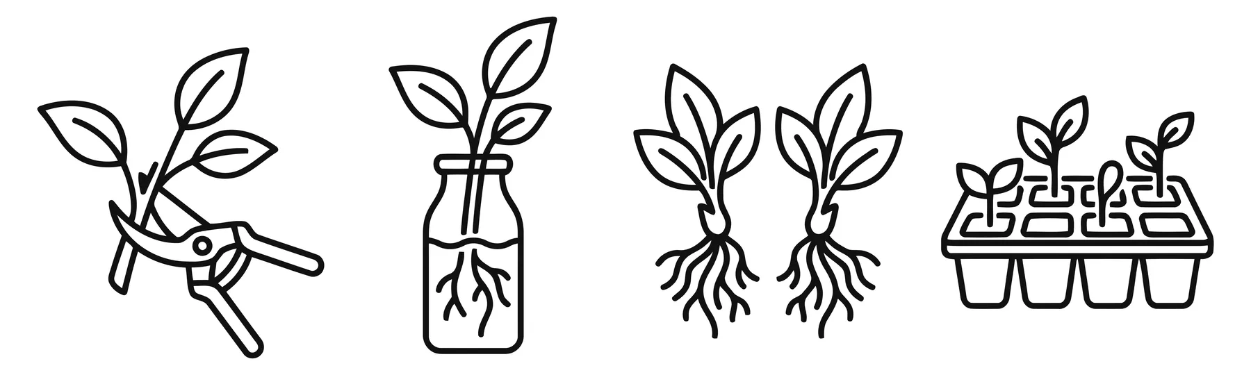Plant Propagation Icons Set with Cuttings and Seedlings