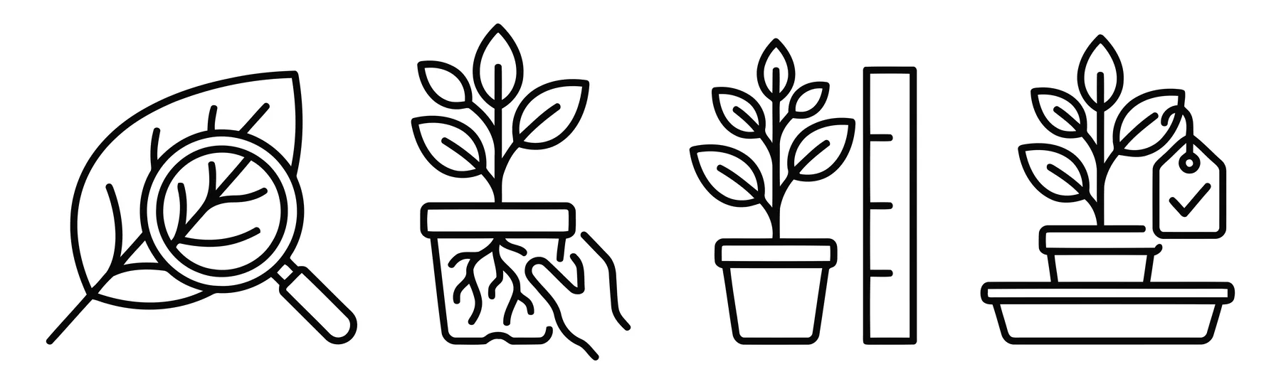Plant Quality Control and Inspection Icons Set