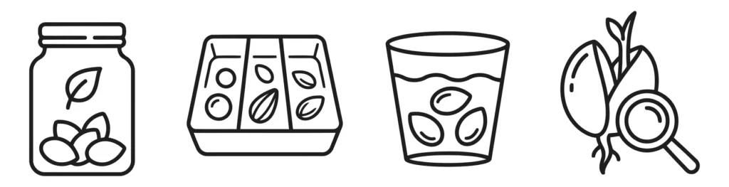 set of seed germination and propagation icons showing storage, tray planting, soaking, and inspection