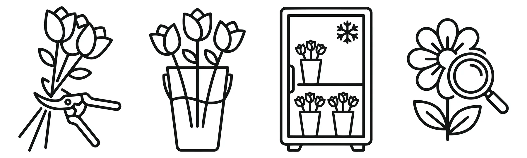 Thin Line Icons for Flower Care and Quality Inspection