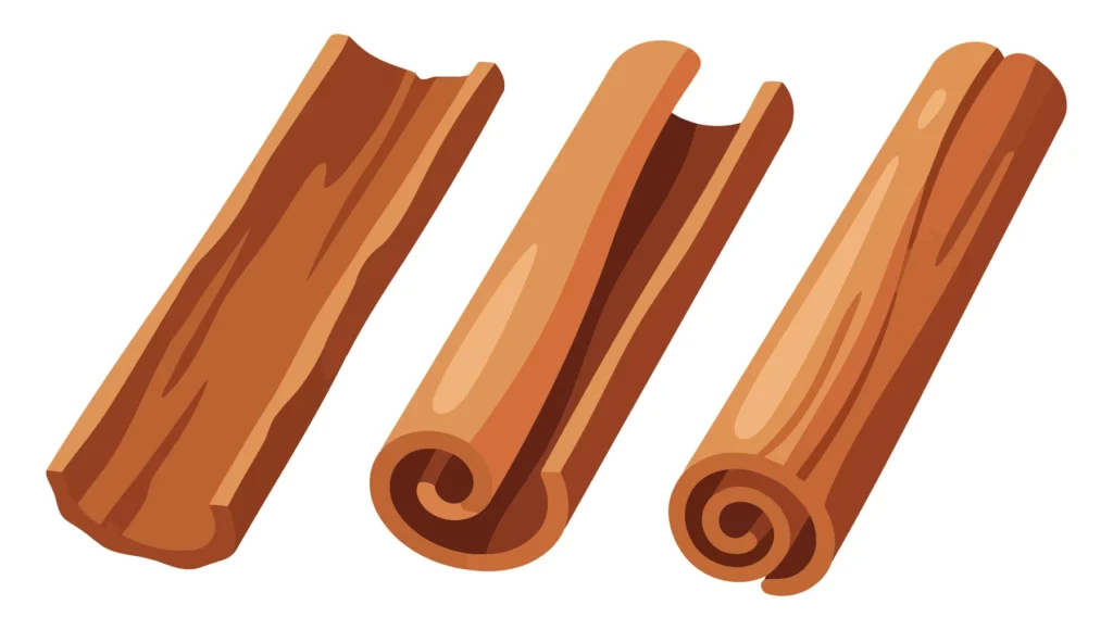 Set Of Three Cinnamon Sticks, Aromatic Spice For Baking And Cooking, Realistic Vector Illustration Isolated On White Background set of three cinnamon sticks, aromatic spice for baking and cooking, realistic vector illustration isolated on white background