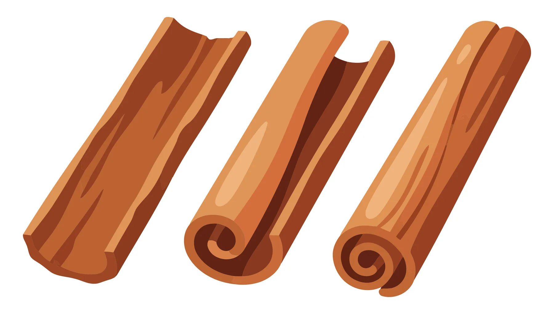 set of three cinnamon sticks, aromatic spice for baking and cooking, realistic vector illustration isolated on white background
