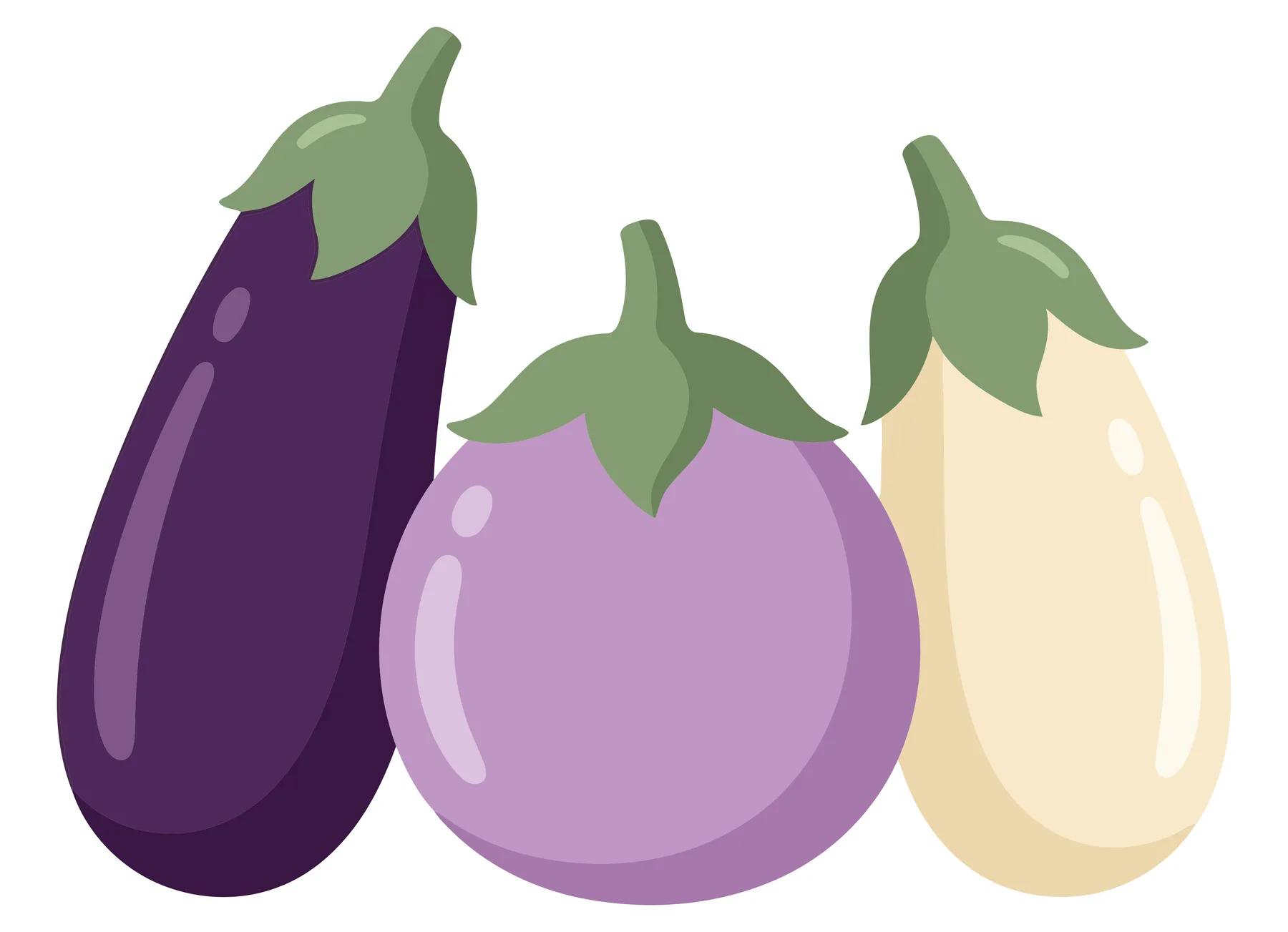 set of three different types of eggplants with green stems, including a long dark purple, a round light purple, and a slender creamcolored v