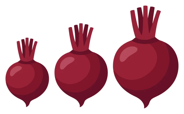 set of three fresh beetroots of different sizes isolated on white background