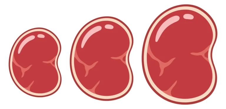 set of three raw beef steaks of different sizes isolated on white background