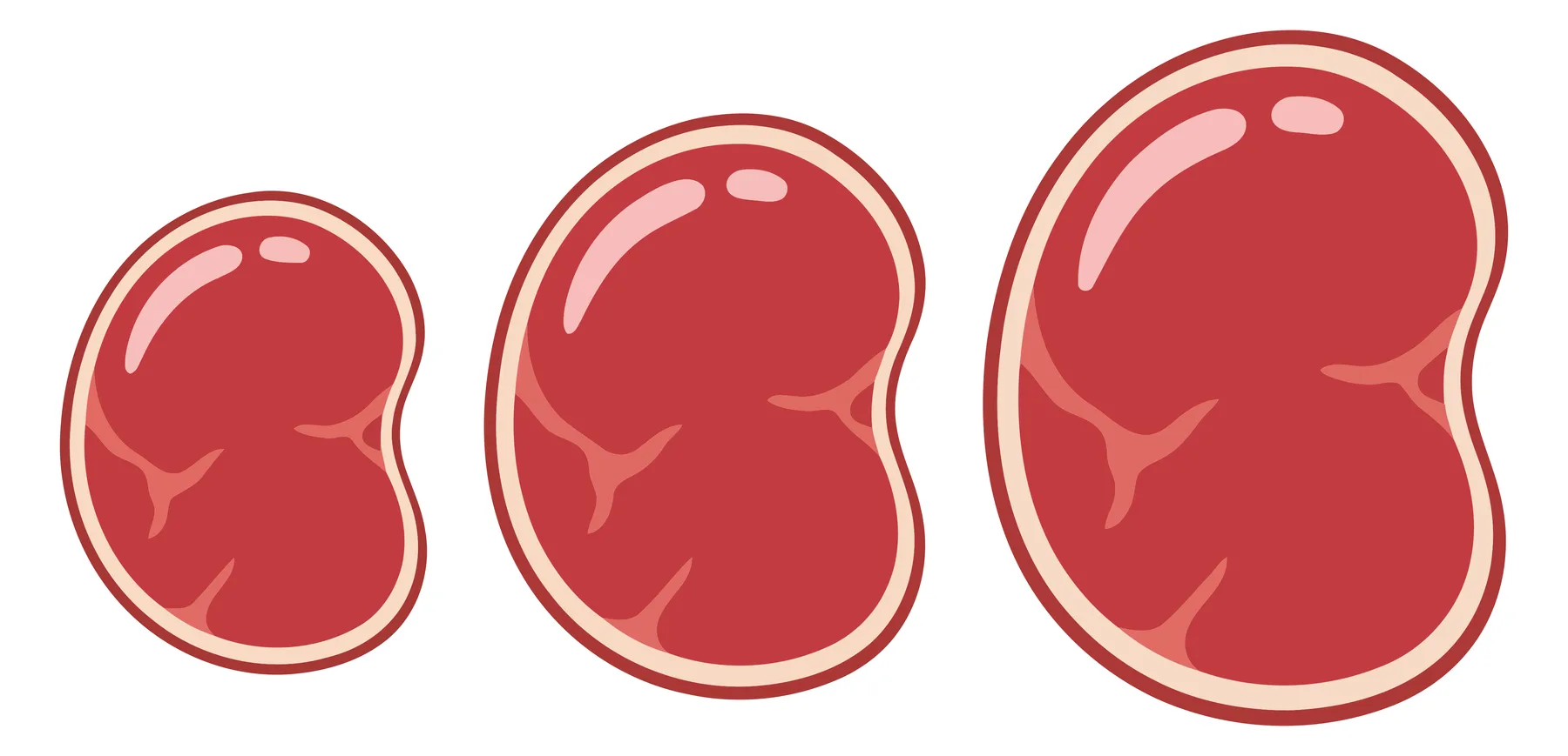set of three raw beef steaks of different sizes isolated on white background
