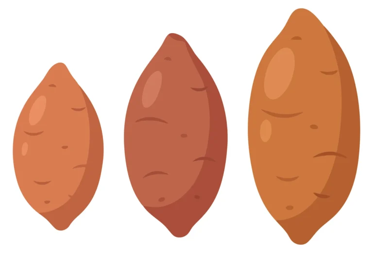 set of three raw sweet potatoes of different sizes isolated on white background