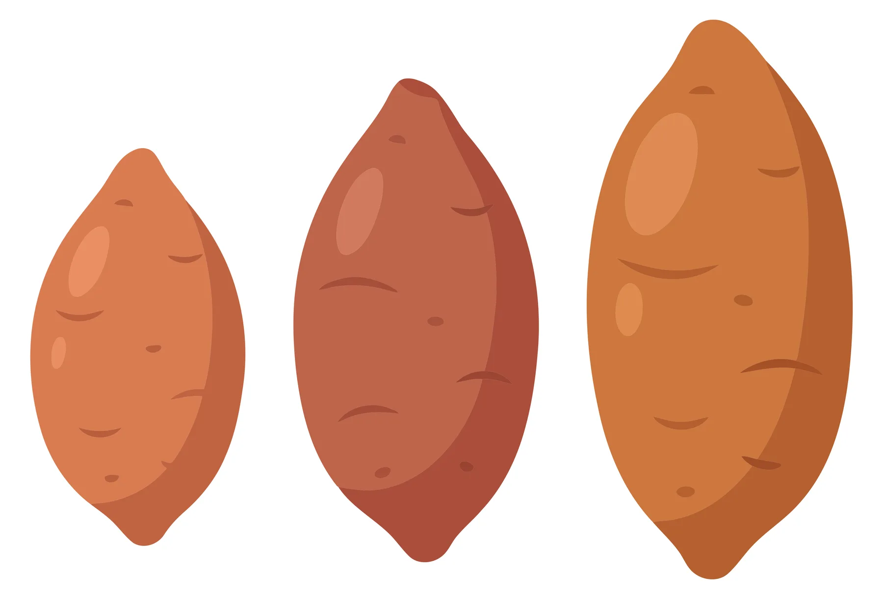 set of three raw sweet potatoes of different sizes isolated on white background