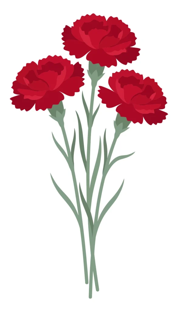 set of three red carnation flowers with green stems and leaves