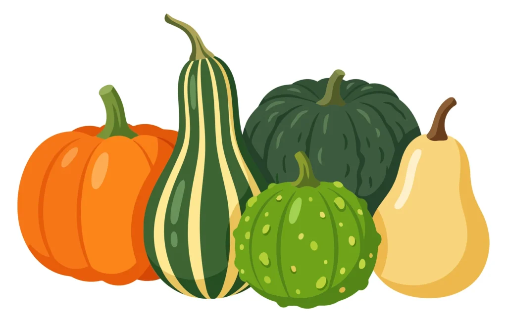 set of various pumpkins and gourds