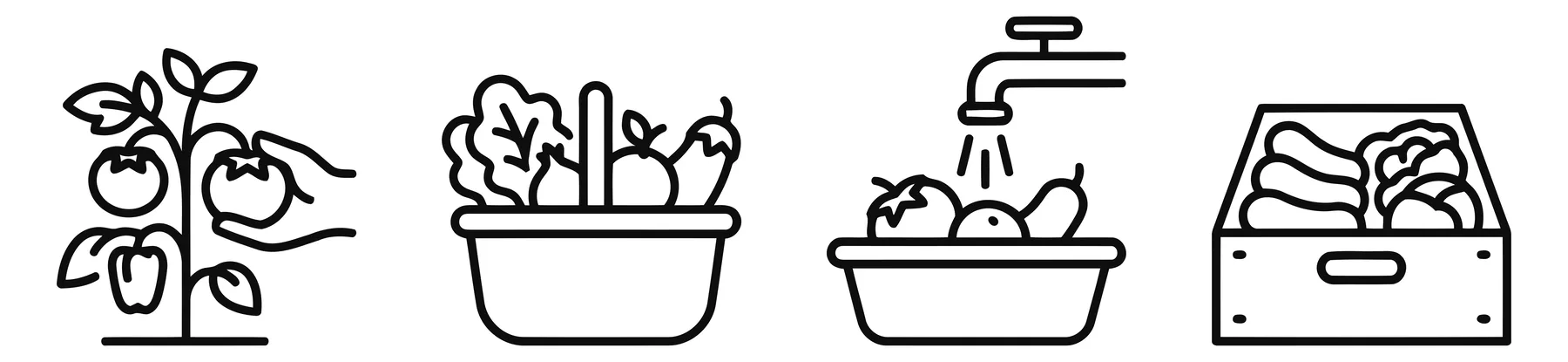 Flat Vector Icons of Vegetable Harvesting and Processing