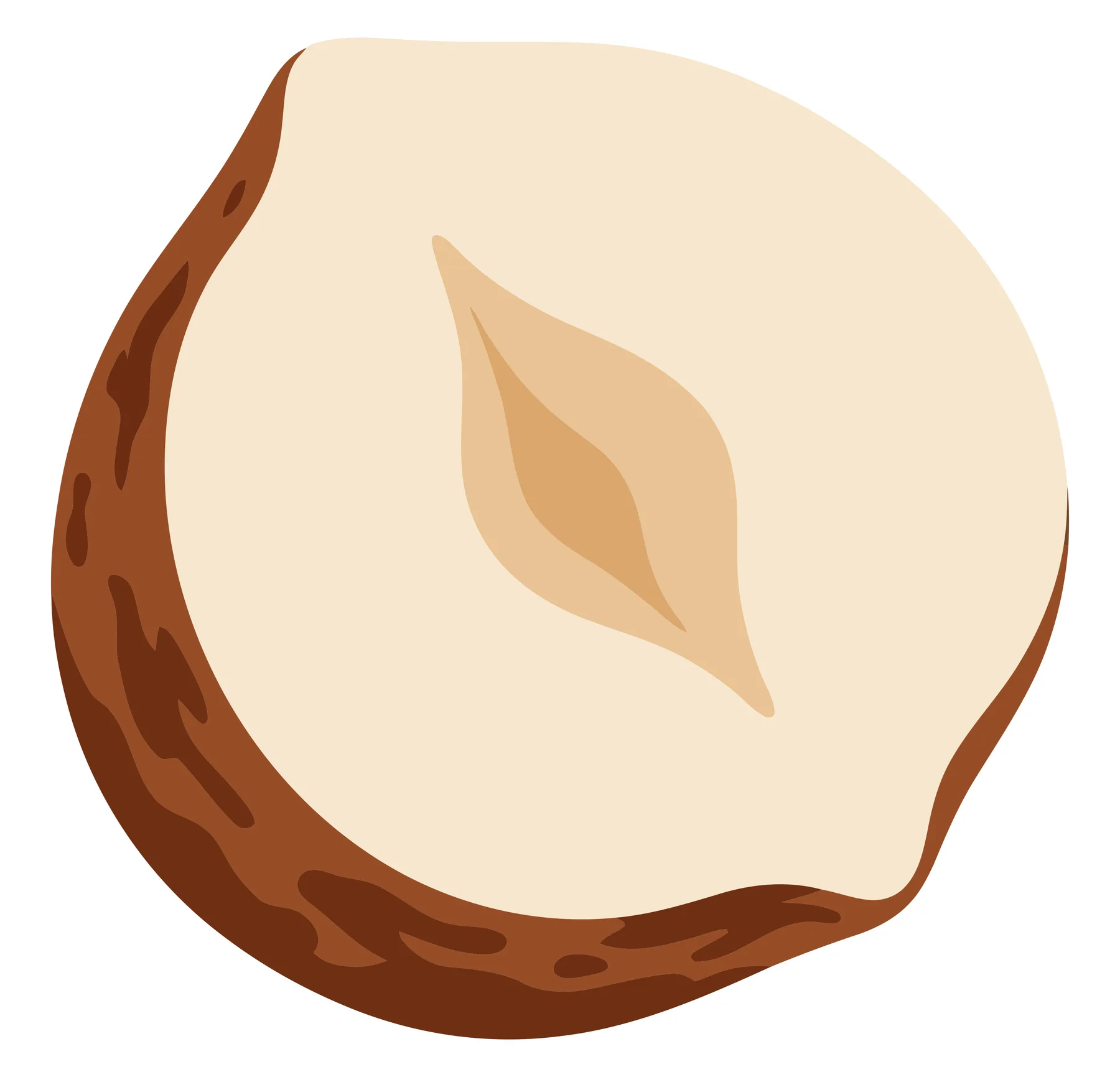 Single Hazelnut Kernel with Shell Illustration