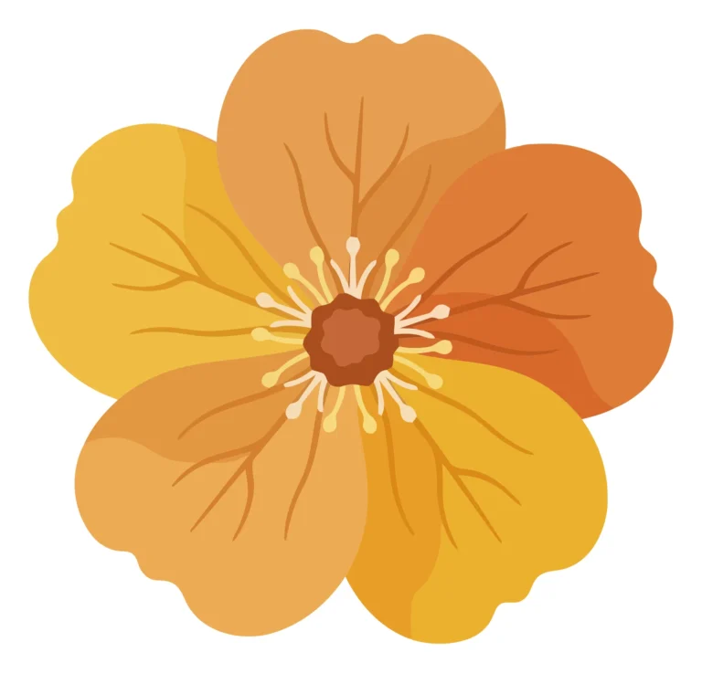 Colorful Orange Flower Vector Illustration
