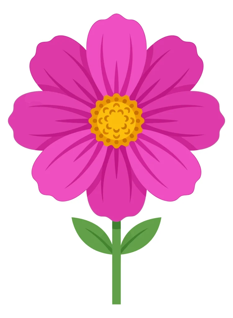 single pink cosmos flower with green stem and leaves