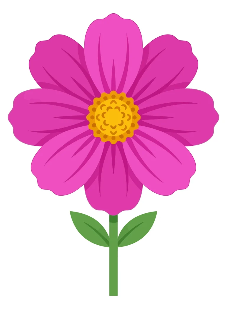 Pink Cosmos Flower with Green Stem and Leaves Vector