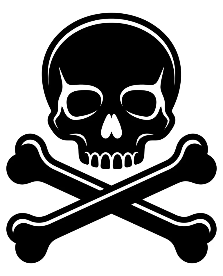 skull and crossbones icon