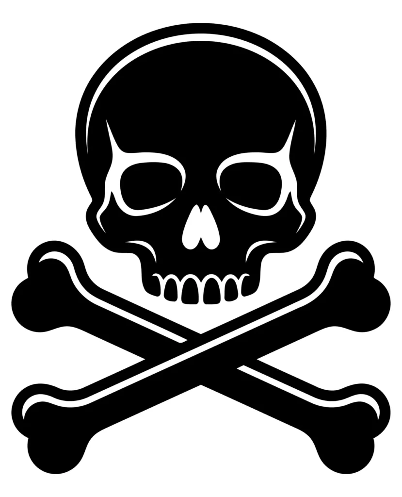 skull and crossbones icon