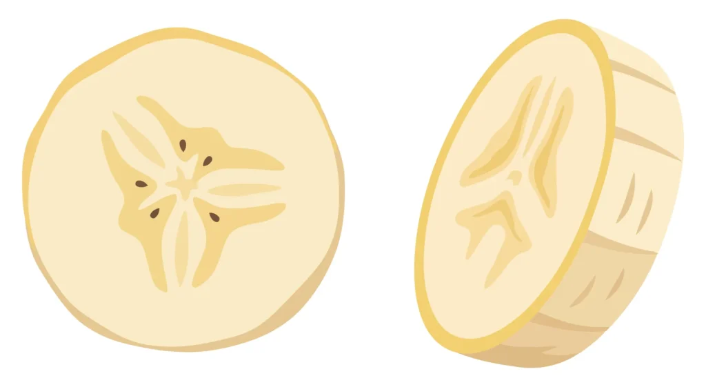 Fresh Banana Slices Vector Illustration sliced banana pieces