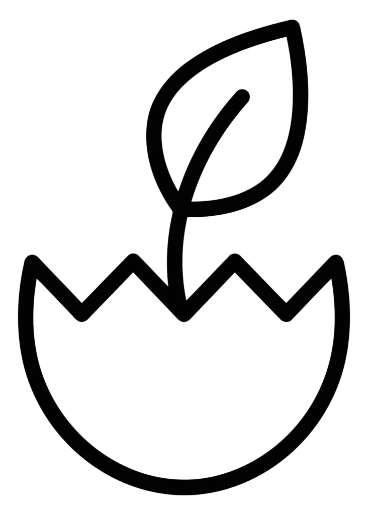 sprout in broken eggshell