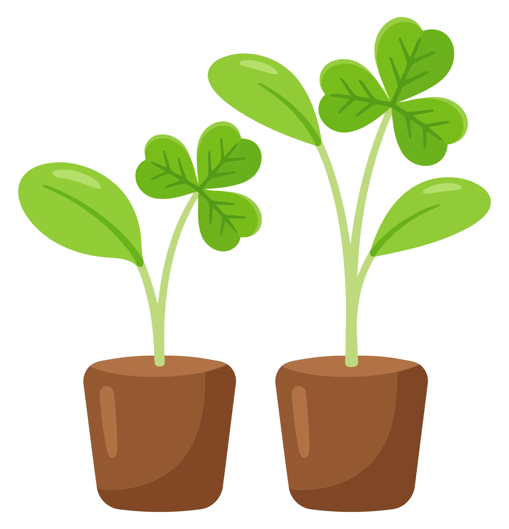 sprout, plant, seedling, growth, pot, vector, isolated on white background
