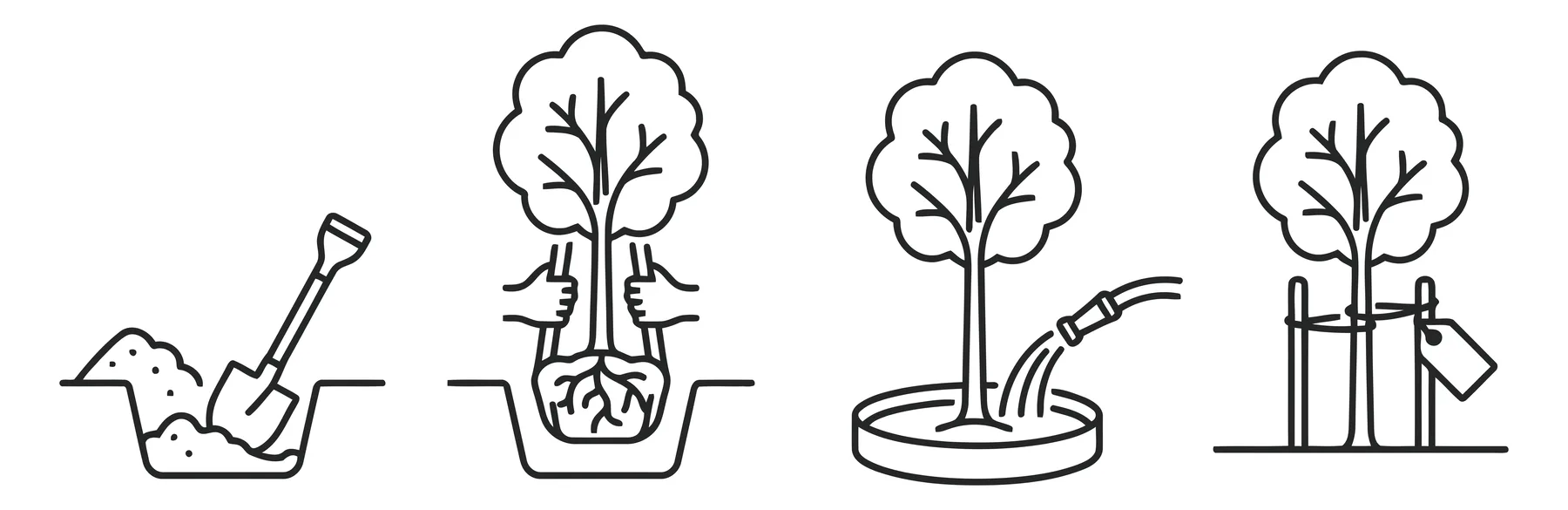 Step by Step Tree Planting Guide Icons
