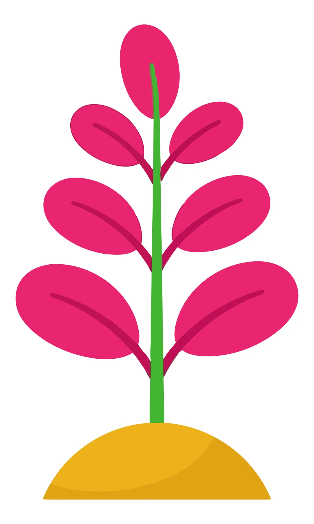 Pink Leaf Plant in Yellow Pot Vector Illustration