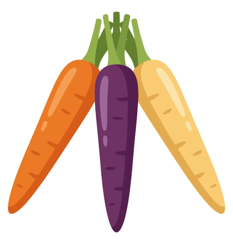 three colorful carrots with green tops, including orange, purple, and yellow varieties, arranged in a bunch, isolated on white background